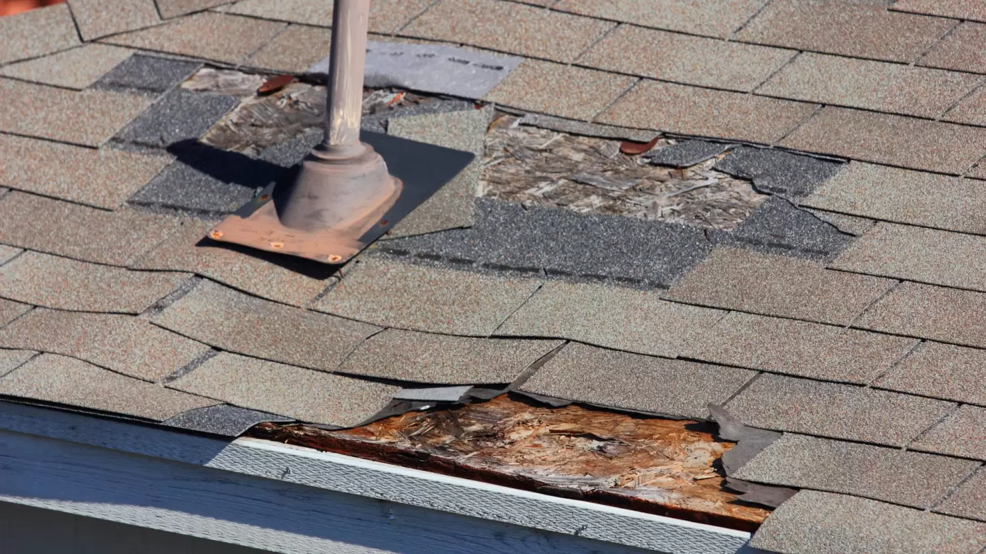 Exceptional roof damage repair – our craftsmanship soars above