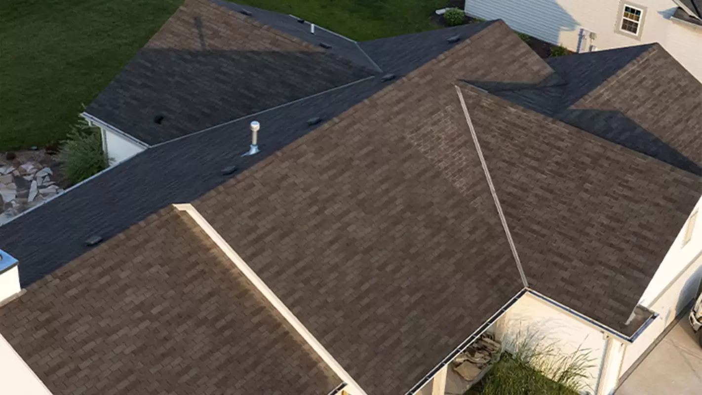 Roof Replacement Services That Stand Above the Rest