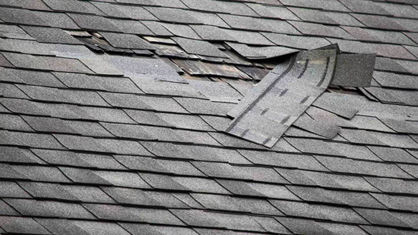 Save money with our Roof Repair service