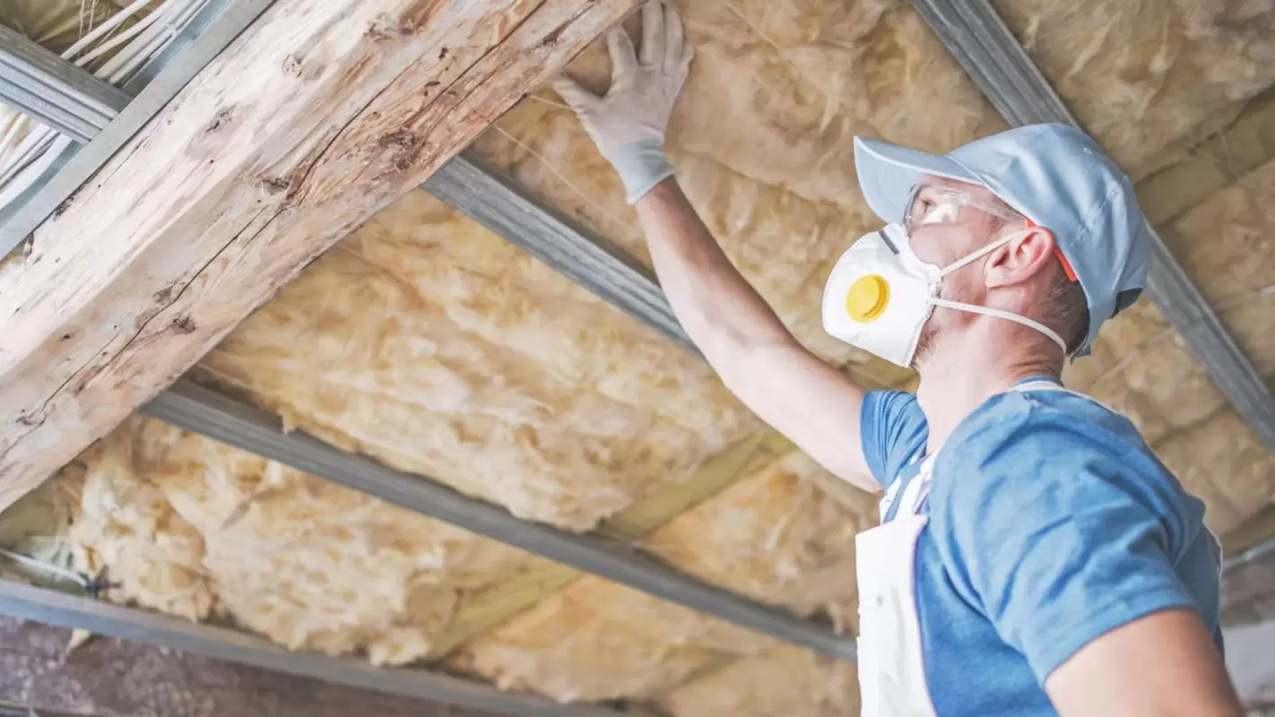 Experience Unmatched Comfort with Professional Home Insulation Services