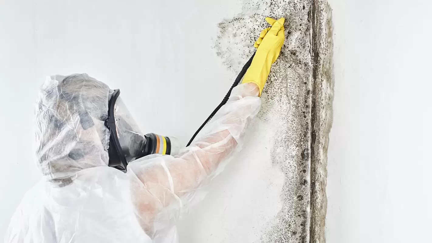 Protect Your Property with Our Residential Mold Remediation
