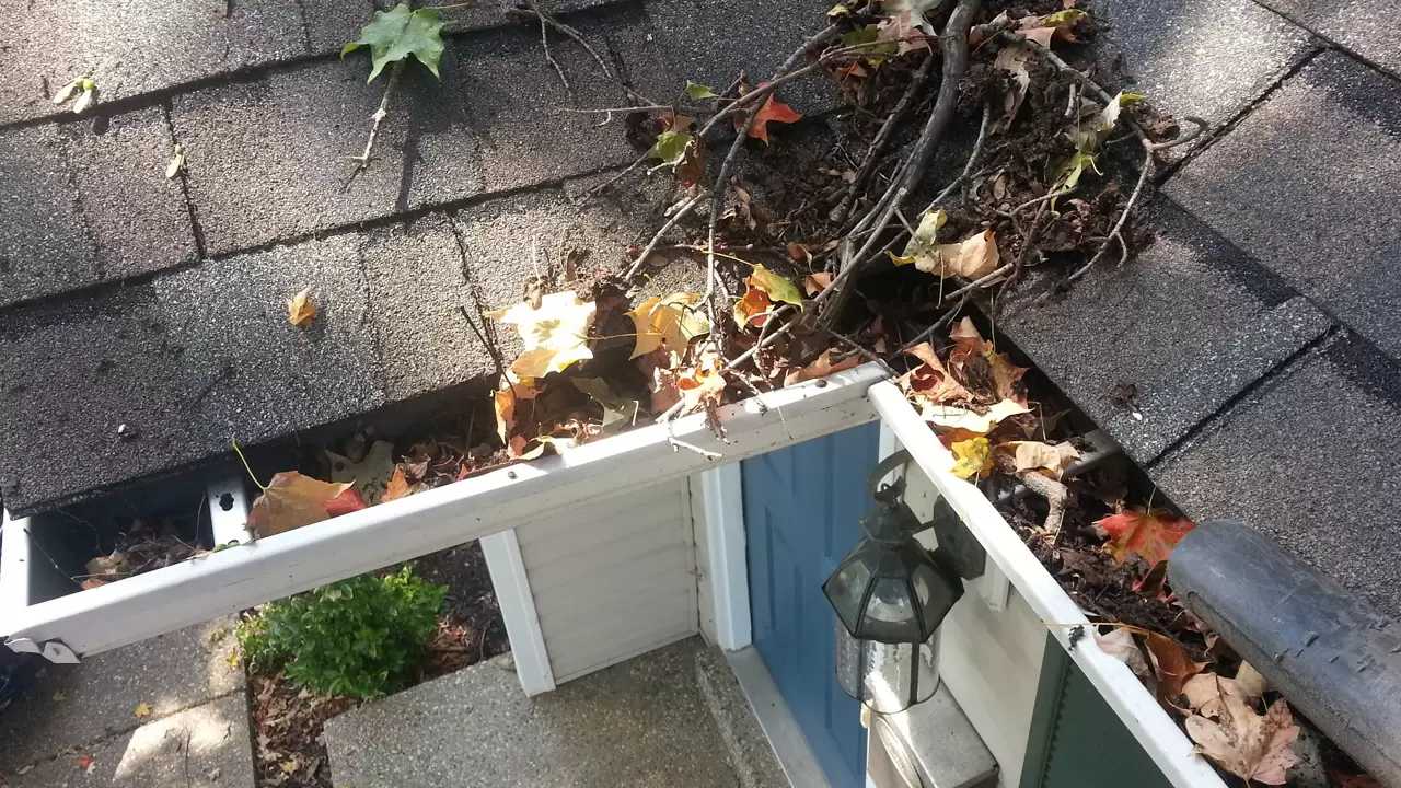 Gutter Cleaning Services – We Unlock the Power of Efficient Gutters: