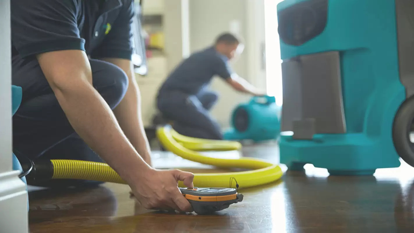 End Your Quote For “Property Dry Out Near Me” Call Us Now!
