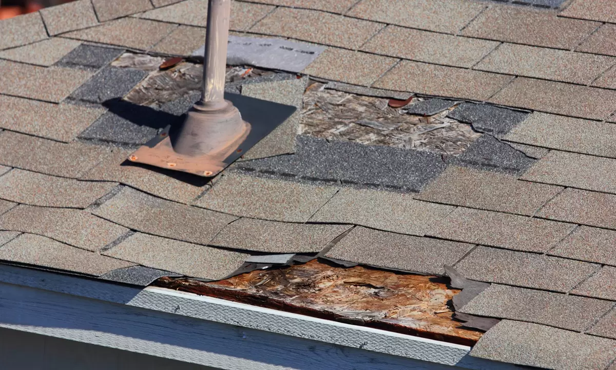 Roof Damage Repair Services For Peak Performance & Protection