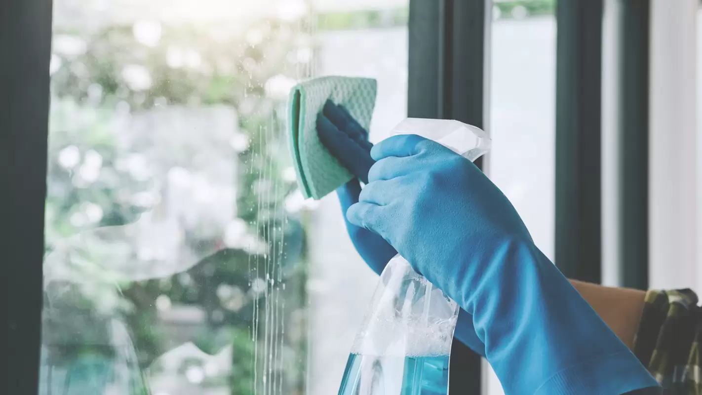Best Window Cleaning Services for a better view