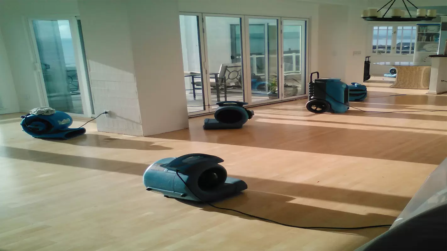 Water Damage Restoration Services- Revitalize Your Space Today