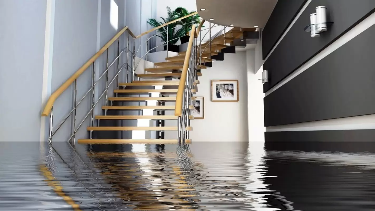 Flood Cleanup Made Hassle-Free, Just for You