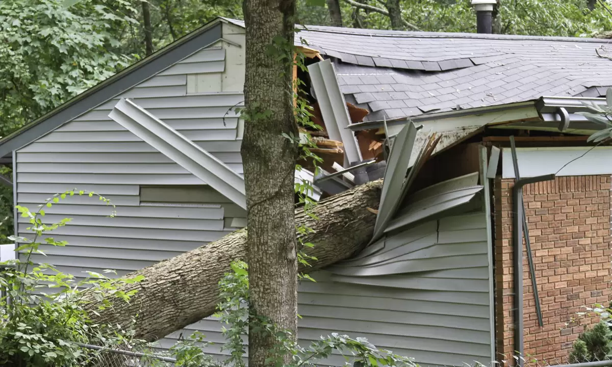 Home Roof Repair: your roof, your craftsmanship-proof