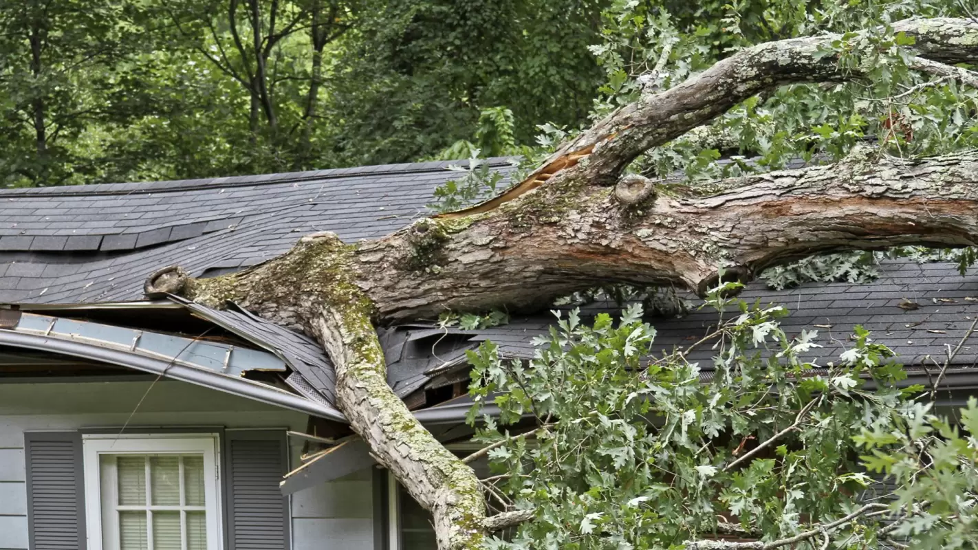 Stress-Free Storm Damage Restoration for A Brighter Future