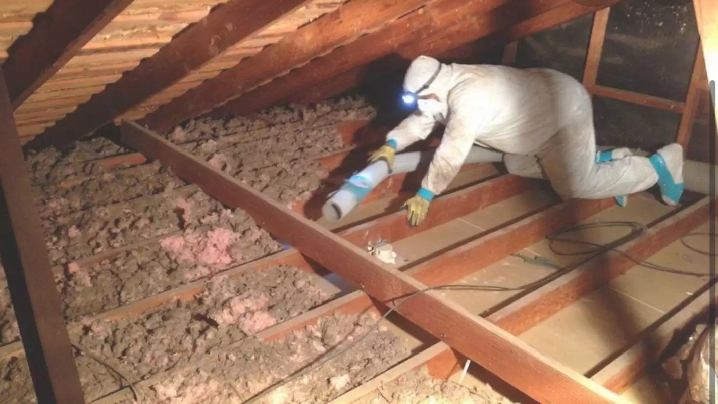 Attic Vacuum and Insulation Removal for Ultimate Attic Cleaning