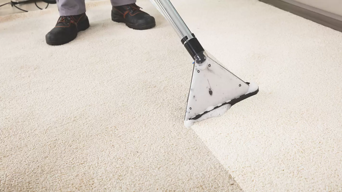 Carpet Cleaning Services For Pure Perfection Underfoot