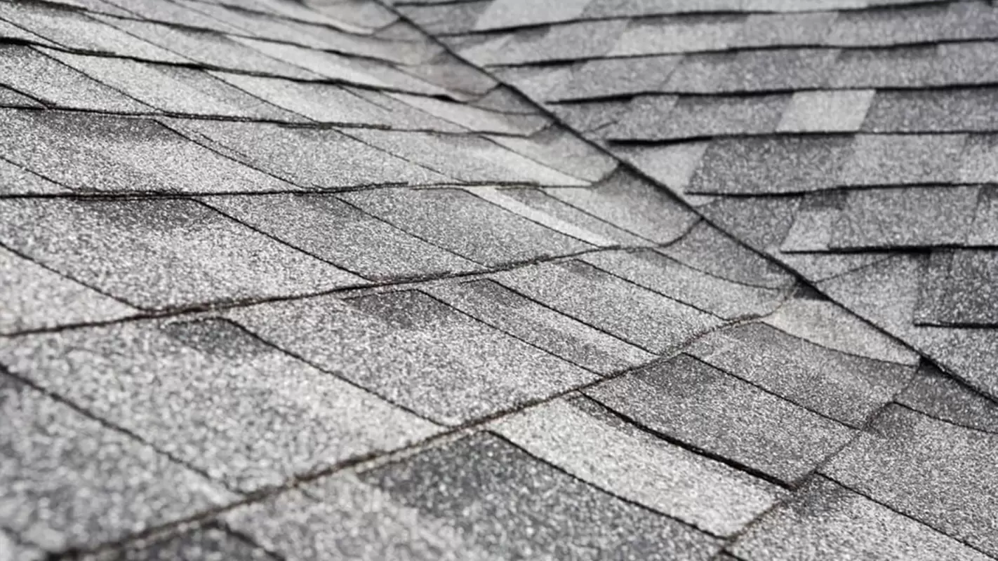 Our Professional Roofing Services Are The Best Around!