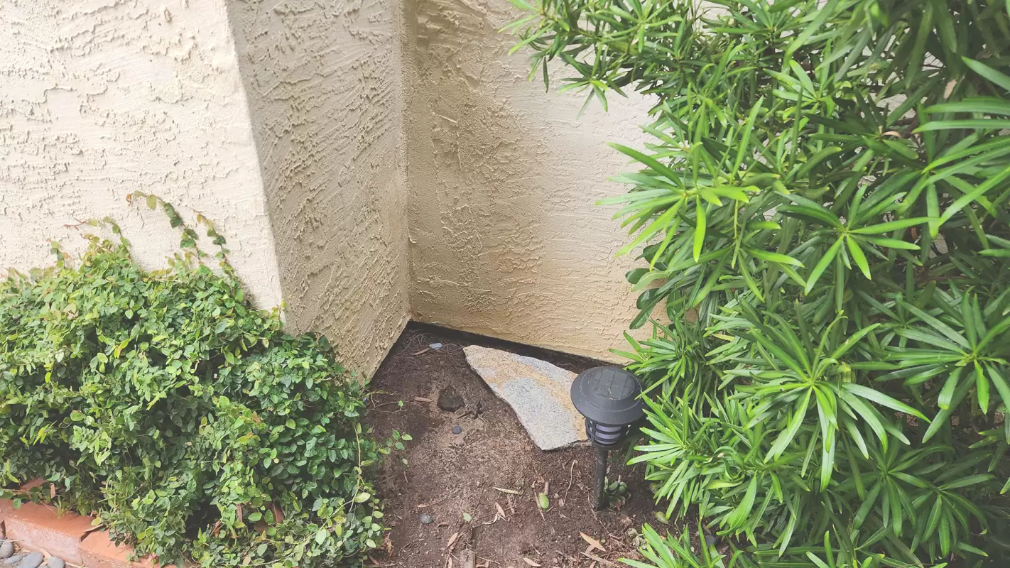 Exterior Pressure Washing- We Fight Dirt with Pure Power