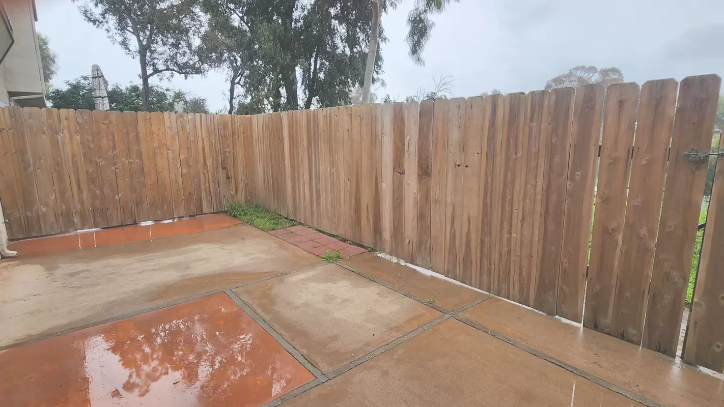 Experience the Transformative Power of Pressure Washing Services
