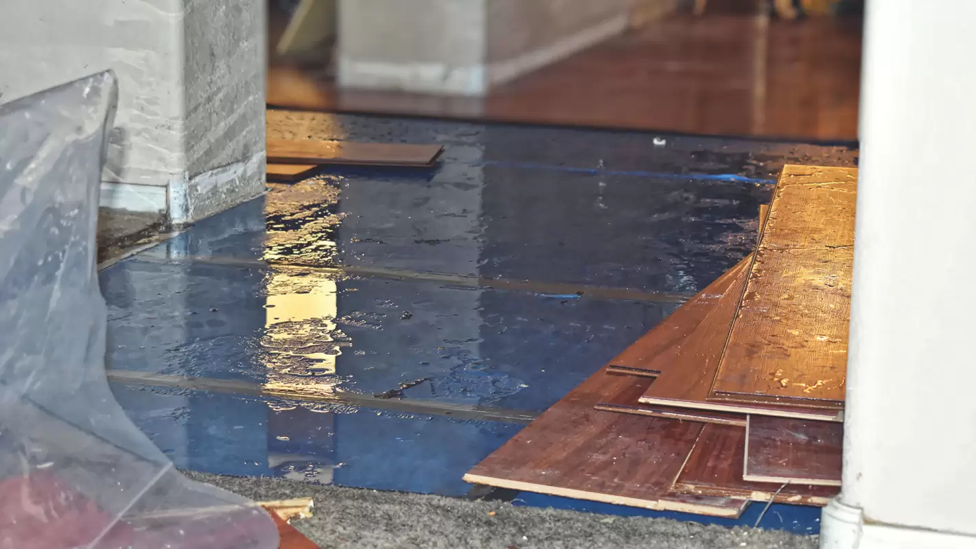 Water Damage Repair: Innovative Solutions, Immediate Results