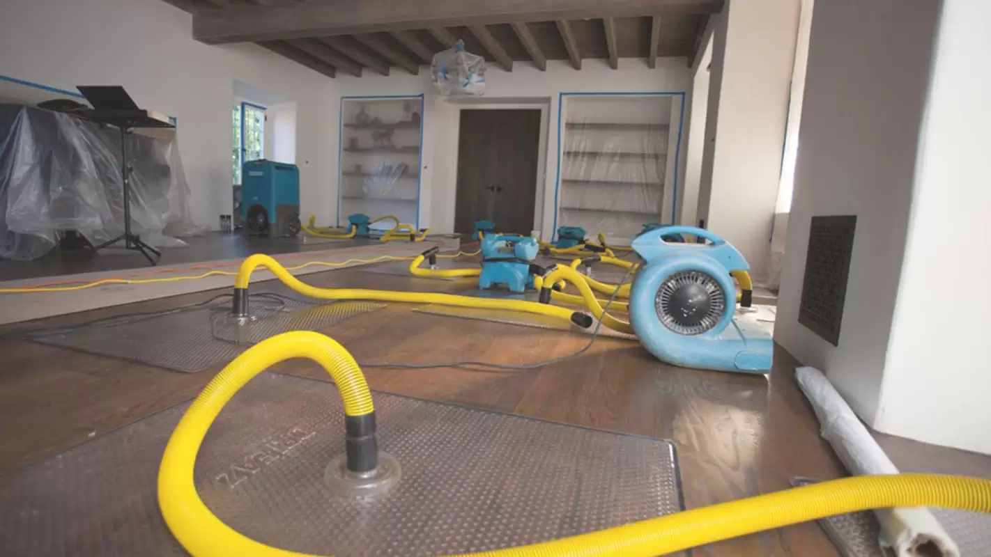Water Damage Restoration Specialists: Expertise You Can Rely On