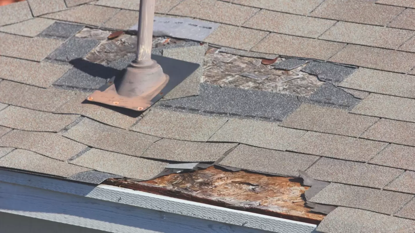 Roof Repair Services: Expert Roof Repairs for a Leak-Free Home