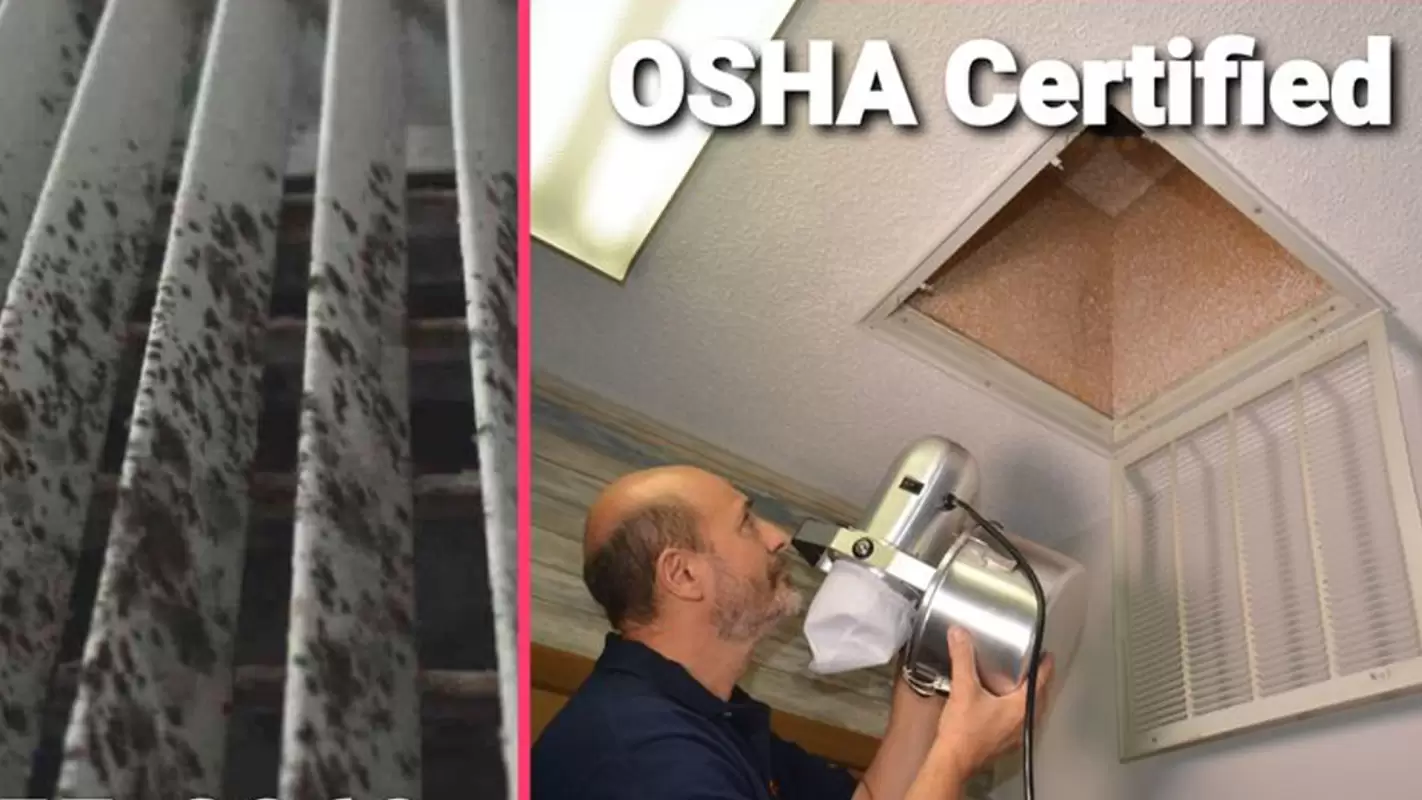 Hassle-Free Air Duct Cleaning Services for Your Homes