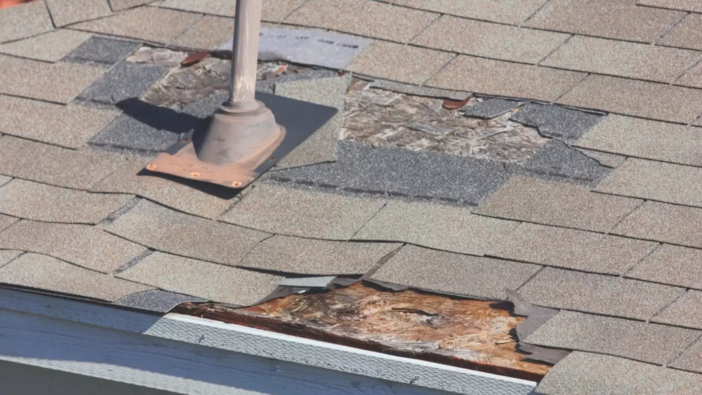 Safeguarding Your Places with Professional Roof Repair Services