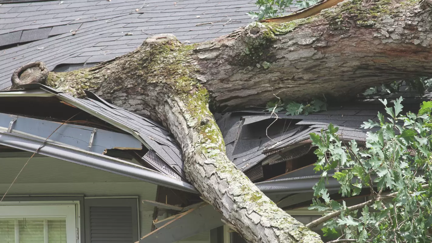Get Pristine Spaces with Our Roof Storm Damage Repair Services