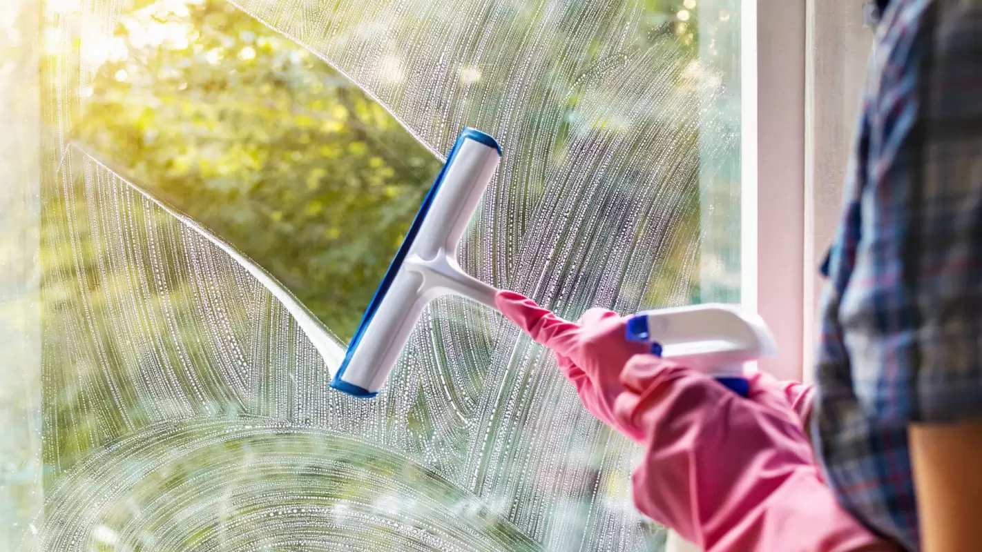 Local Window Cleaners – We Bring Complete Cleanliness to Elevate the Curb Appeal
