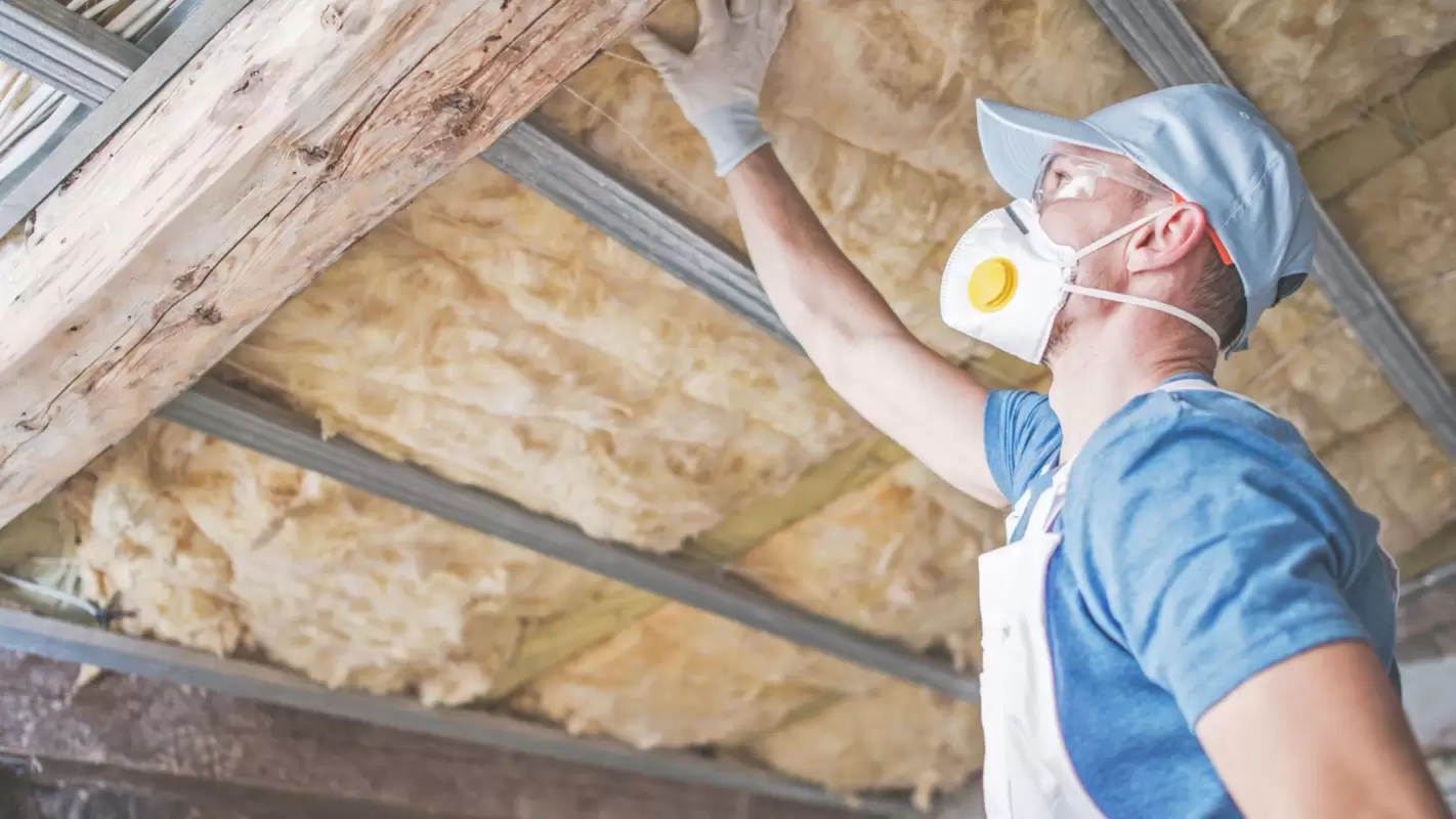 Best Insulation Contractors for Doing Top-Notch Insulation