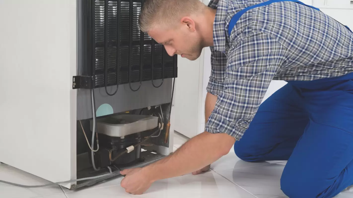 Quick, Effective & Efficient Refrigerator Repair