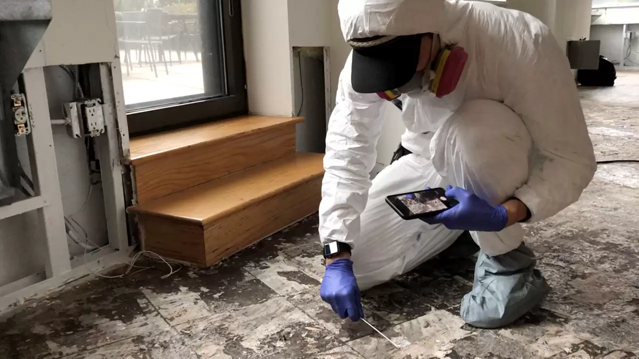Ensuring Your Safety Through Meticulous Mold and Termite Inspection
