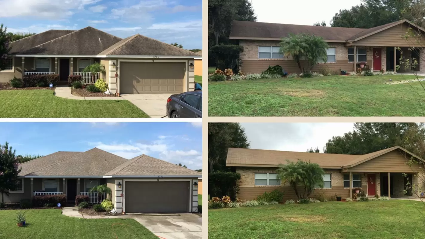 Roof Soft Washing: Clean Roofs, Elevated Curb Appeal