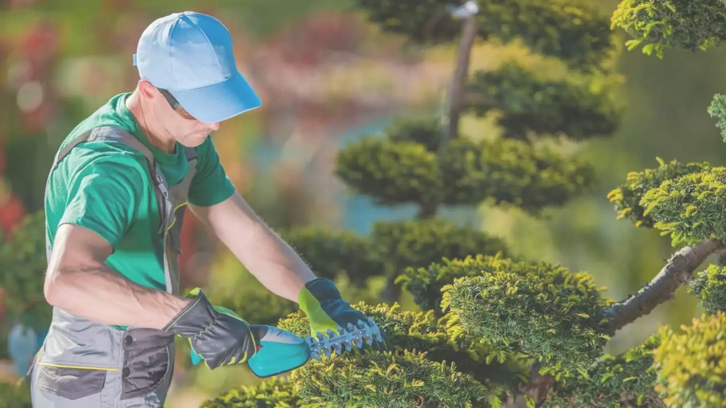 Professional Landscapers: Improve Your Property with Stunning Landscapes