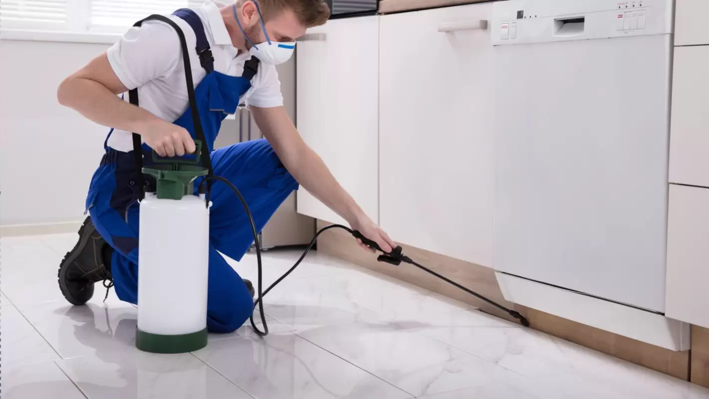 Pest Control Services to Live Well Away from Pests!