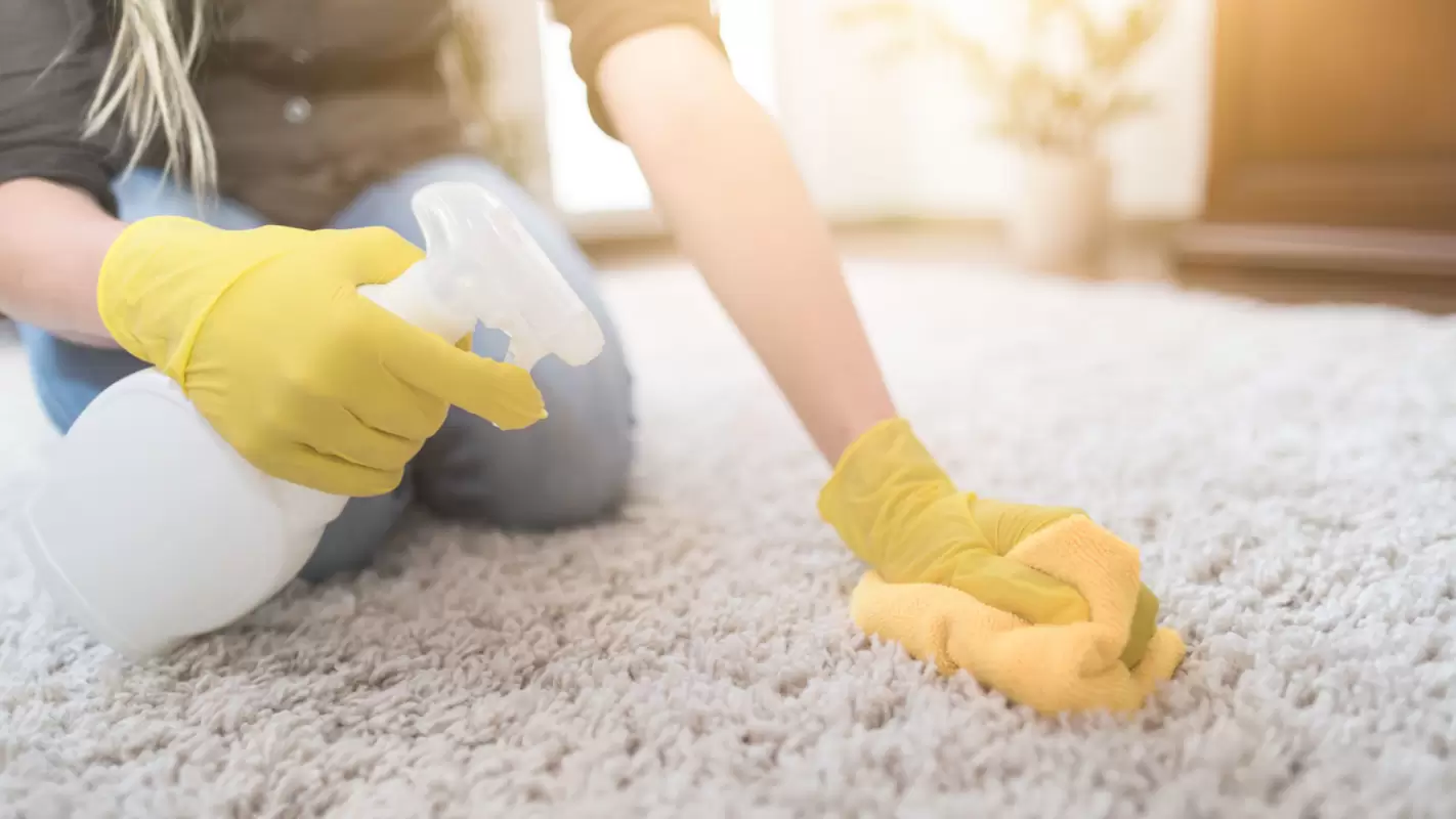 We Handle Carpet Deep Cleaning For Residences Really Well