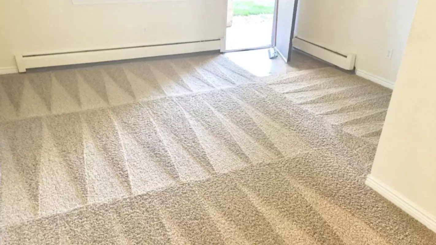 Reinventing The Look with Our Carpet Stain removal