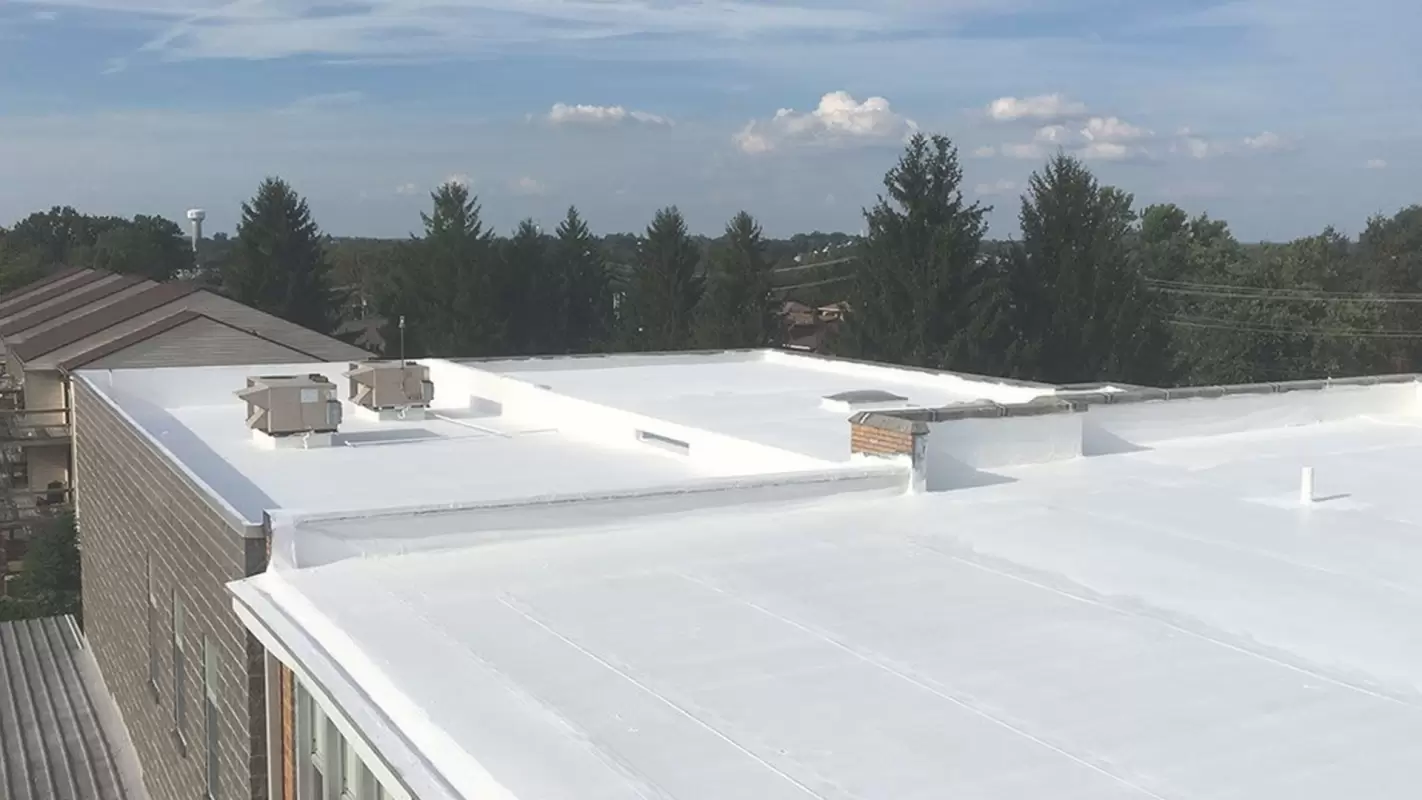 Roof Sealant Services – We Use High-Quality Materials!