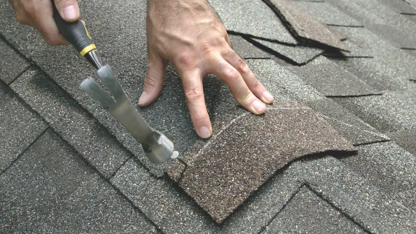 Restore Sturdy Shelters with our Roof Repair Services