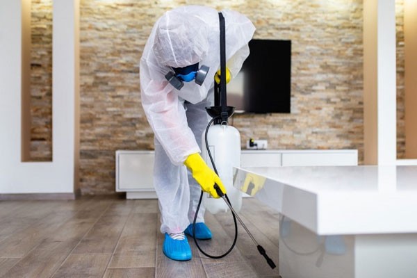Affordable COVID-19 Cleaning