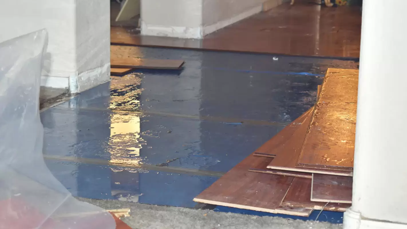Water Mitigation Services to Address All Kinds of Water Damage!