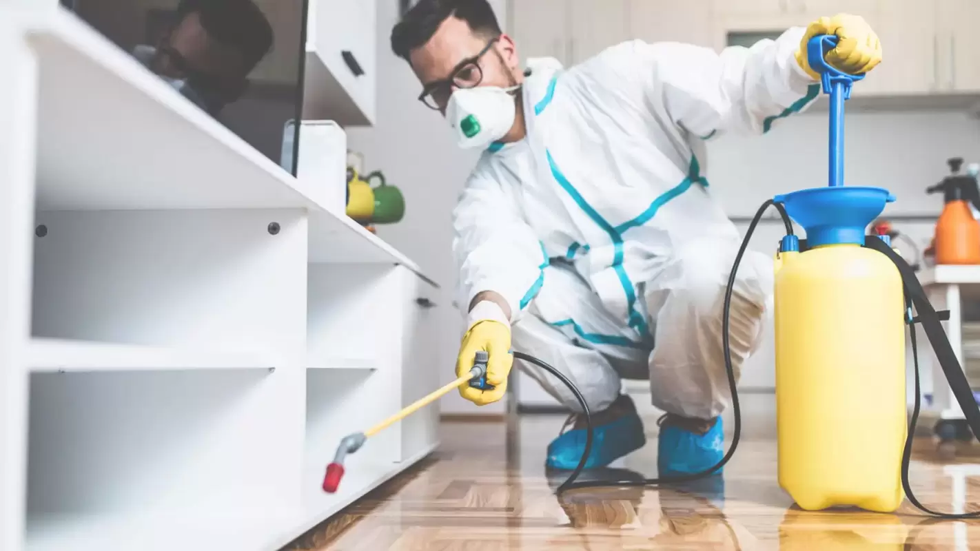 Pest Control Services: Reliable Pest Control Services Tailored For You!