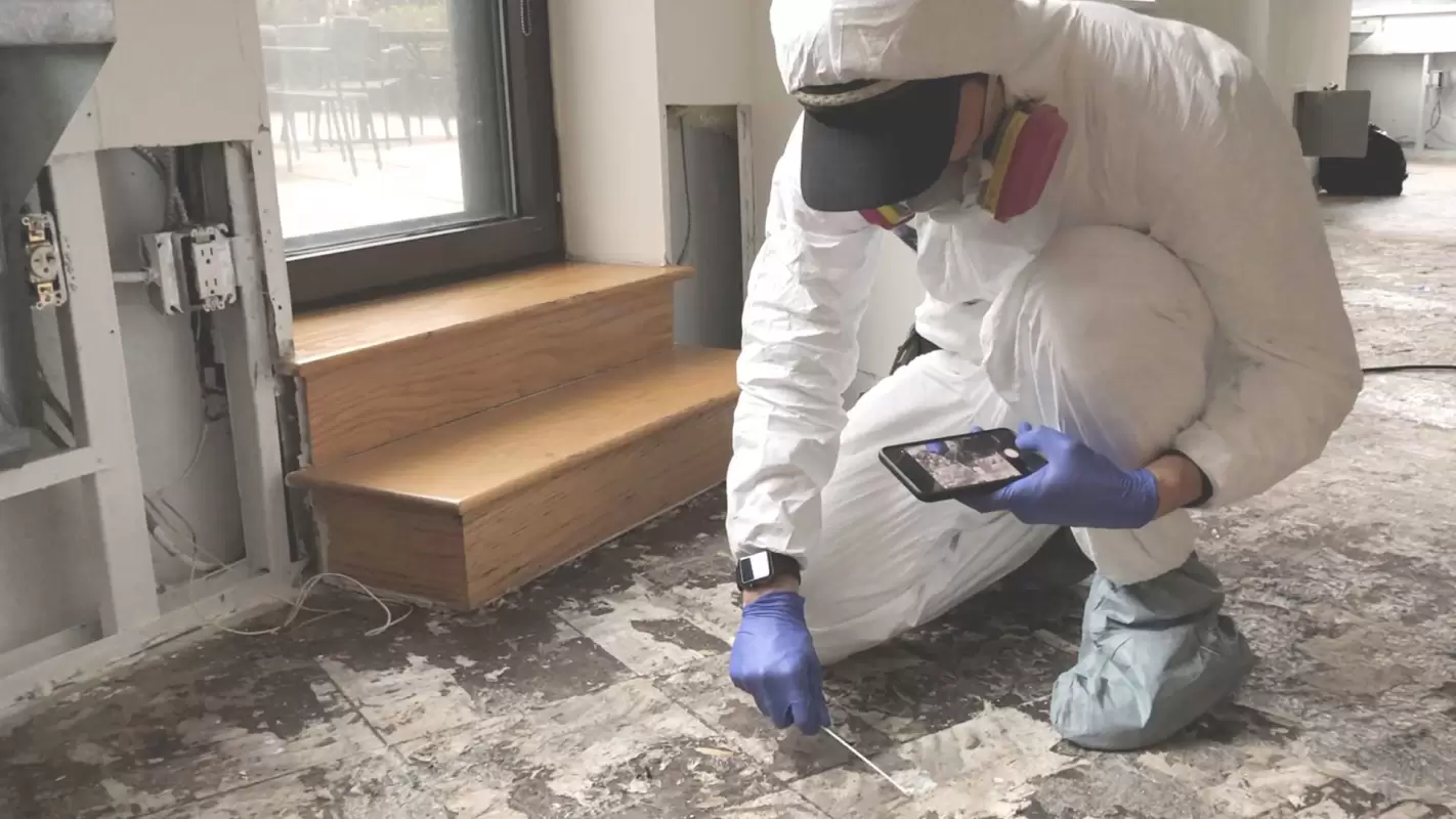 Make Your Property Secure With Our Mold Inspection Contractors