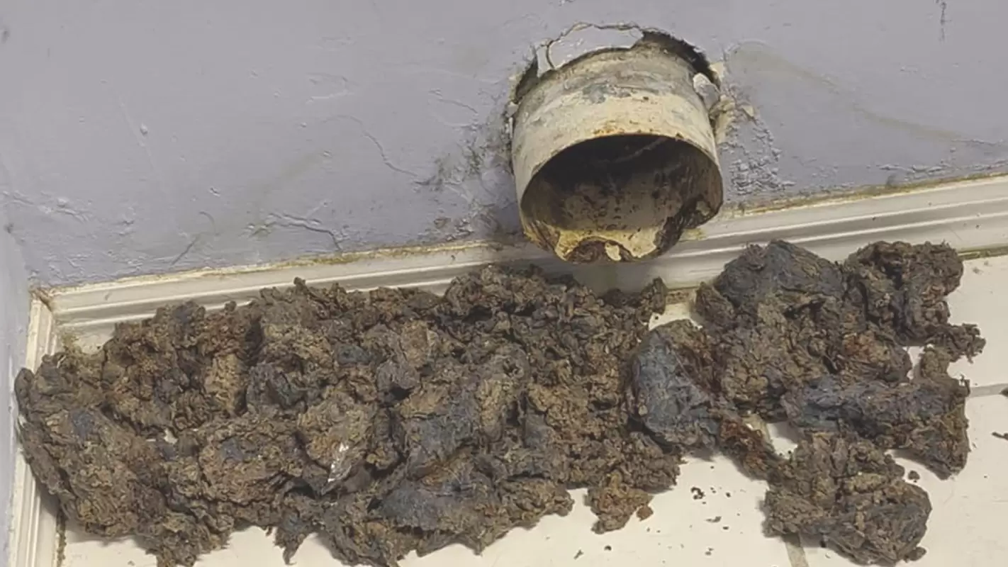 Get Dryer Vent Cleaning Done to Stay Protected