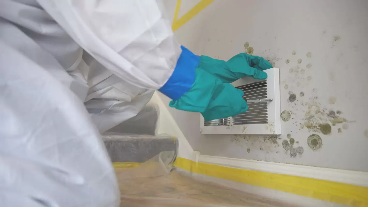 Enhance Your Health with Mold Removal from Air Ducts