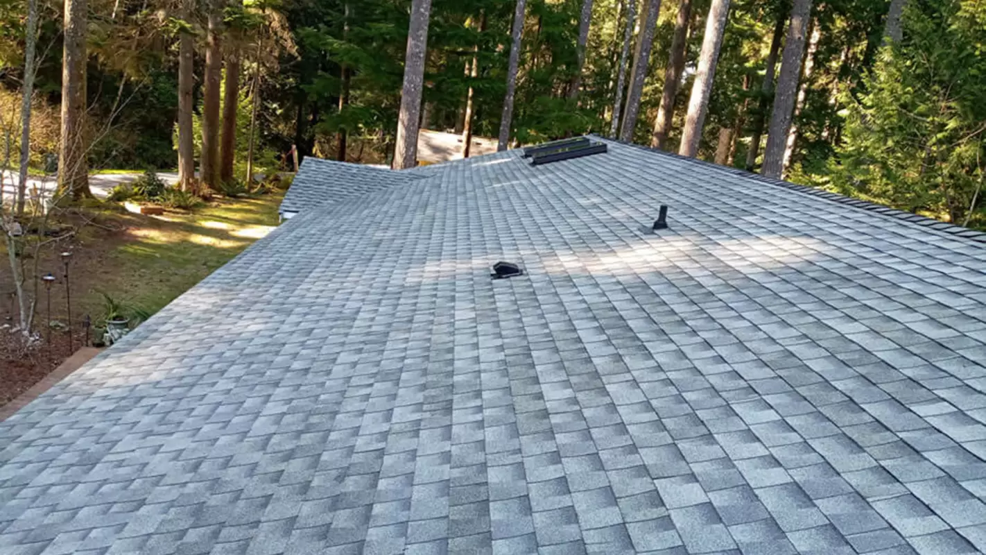 Get the Pro Residential Roof Repair that Goes Above & Beyond