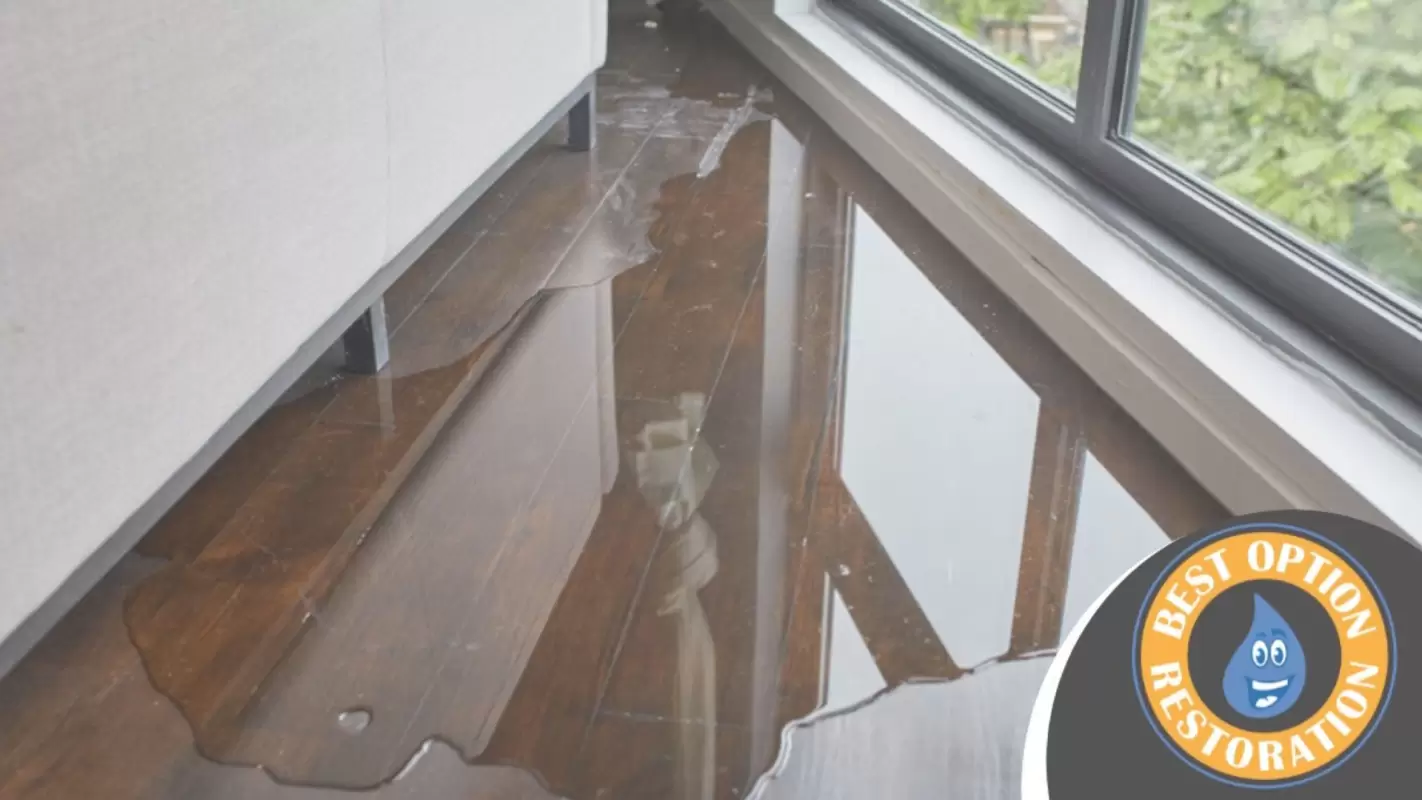 Bring Your Property Back To Life With Our Water Damage Restoration Services