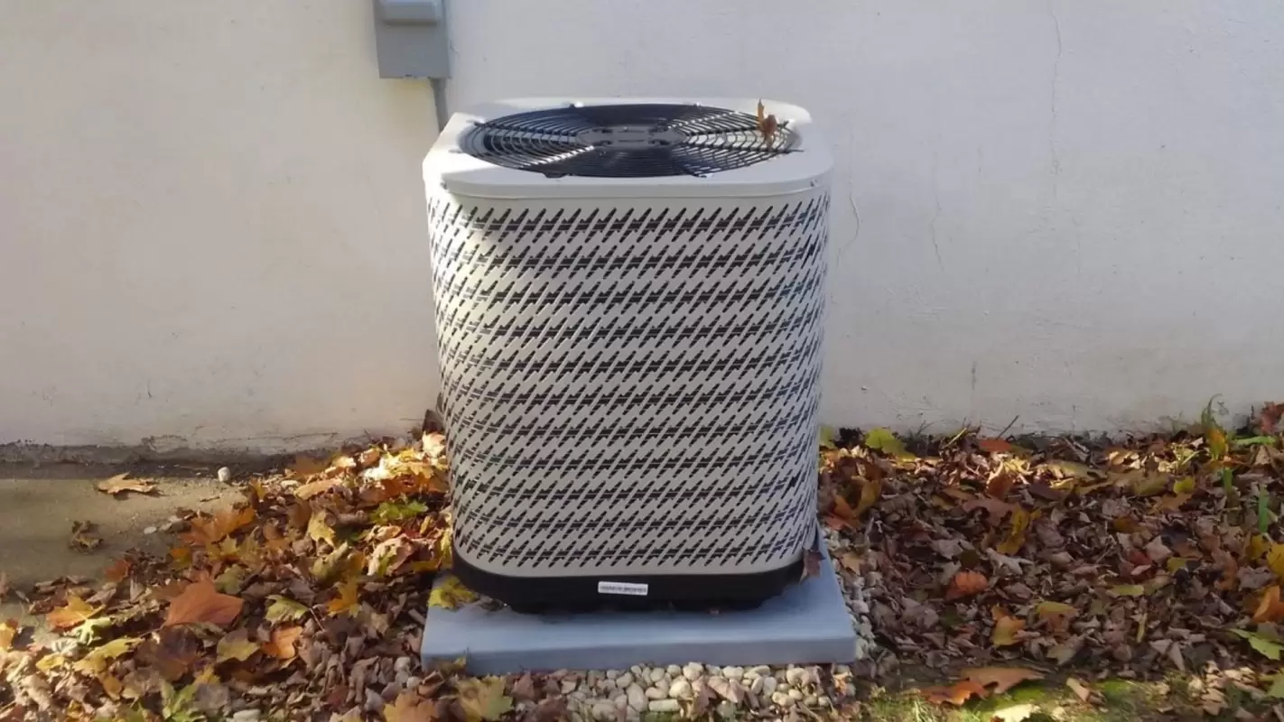 Witness the Craftsmanship of our HVAC Services Expert