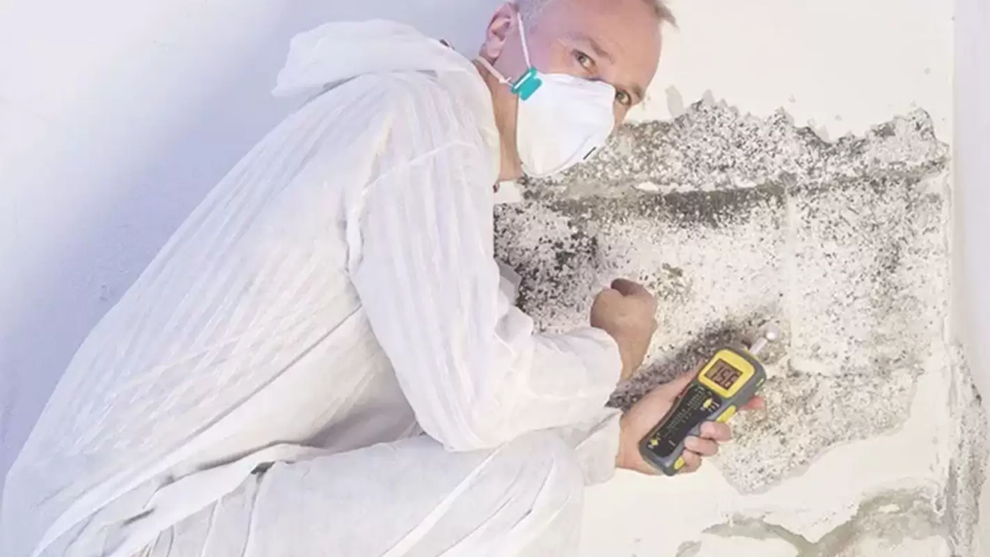 Trusted Mold Testing Service – Safeguard Your Home, Breathe Easy!