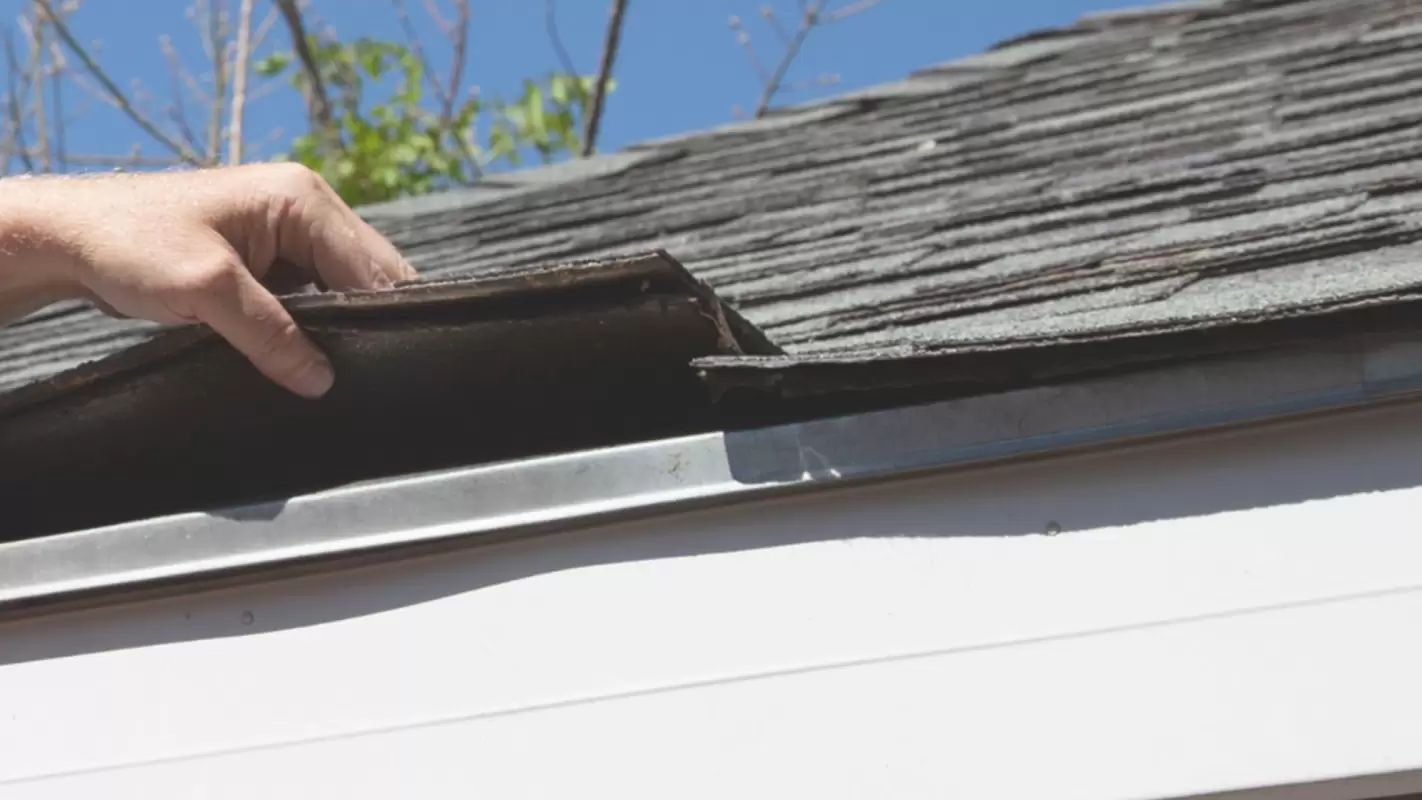 Revive Your Roof with Our Professional Roof Repair Services!