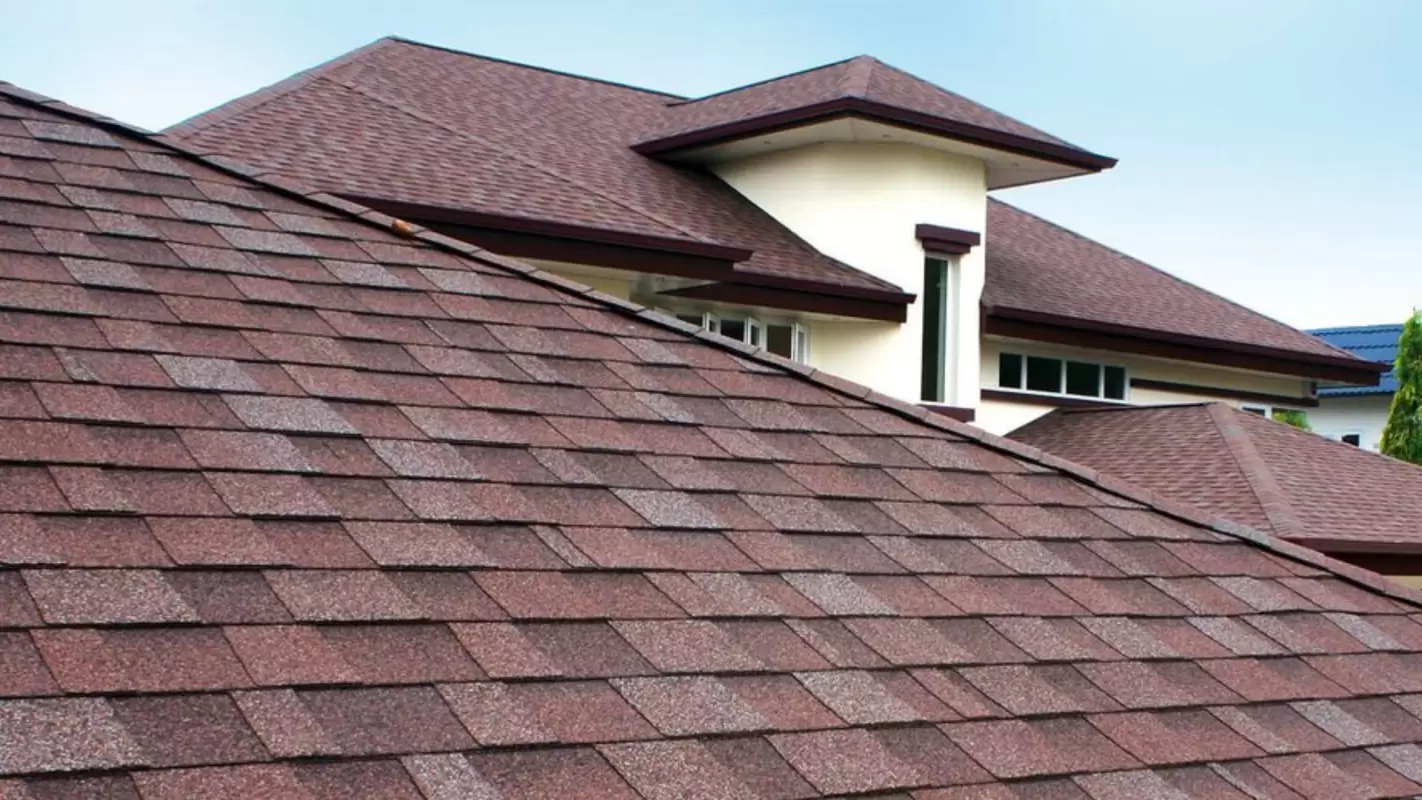 Best Roofing Company: We Advise on The Best Materials