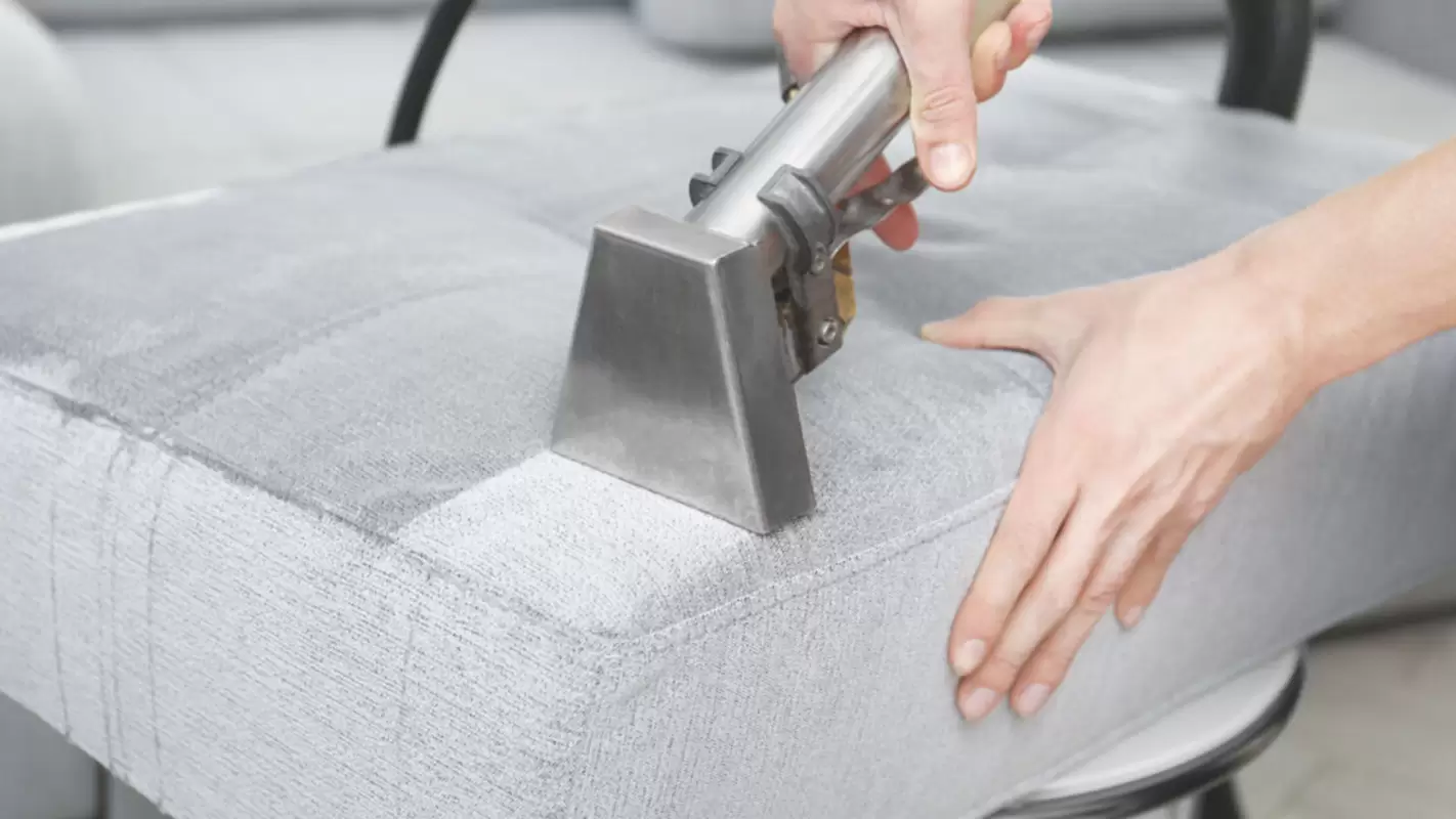 Upholstery Cleaning: Breathe new life into your favorite furniture.
