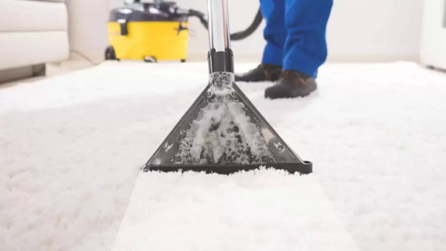 Carpet Cleaning Service: Revive your carpets, refresh your home.