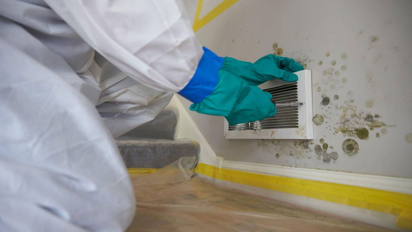 Mold Inspection Services Flossmoor IL